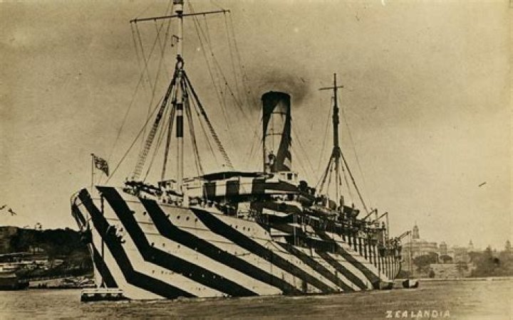 25 Photos Of Navy Ships In Bizarre Disguise