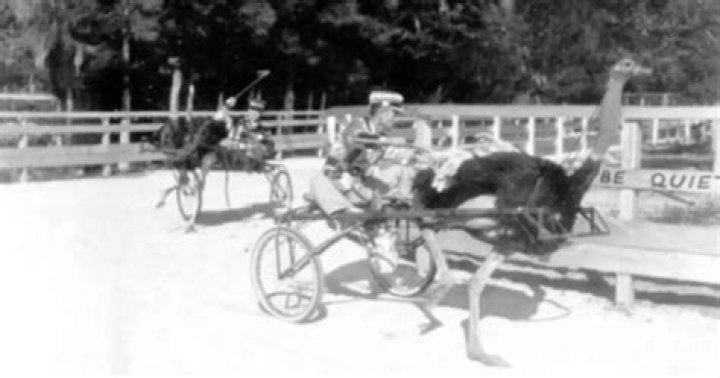 29 Unbelievable Yet Real Vintage Photos