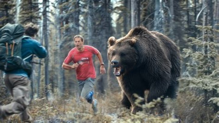 Amie Huguenard, The Doomed Partner Of 'Grizzly Man' Timothy Treadwell