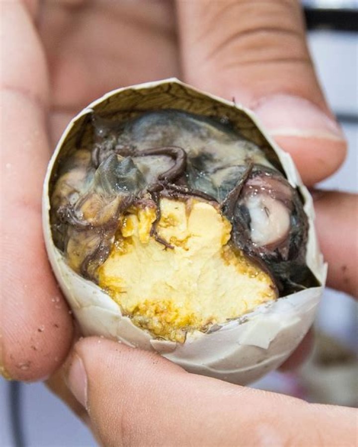 Balut, The Street Food Made From Fertilized Duck Eggs