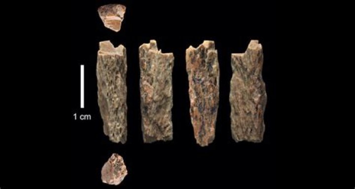 DNA Reveals The First Evidence Of Neanderthal and Denisovan Hybrid