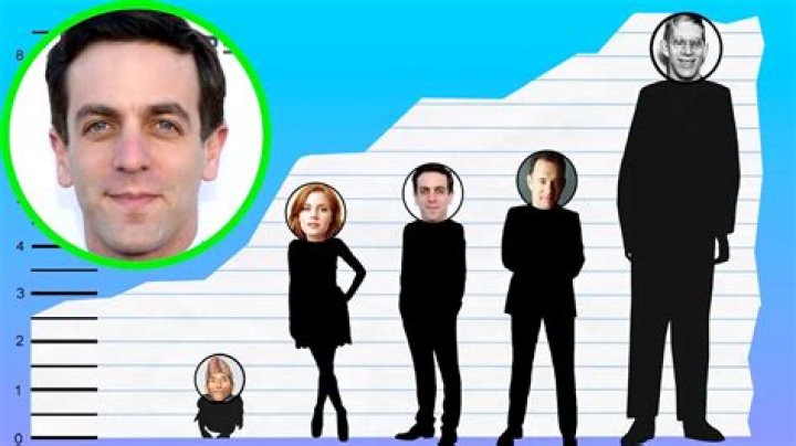How tall is B. J. Novak