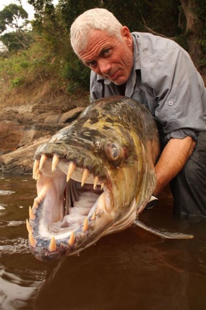 The 15 Weirdest River Fish Ever Caught
