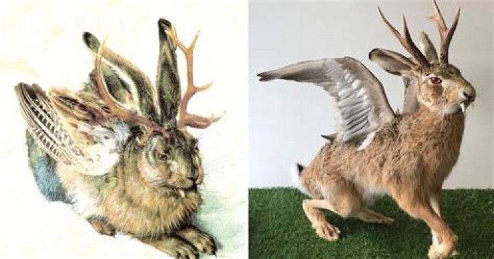 The Horned Rabbit From Bavarian Folklore