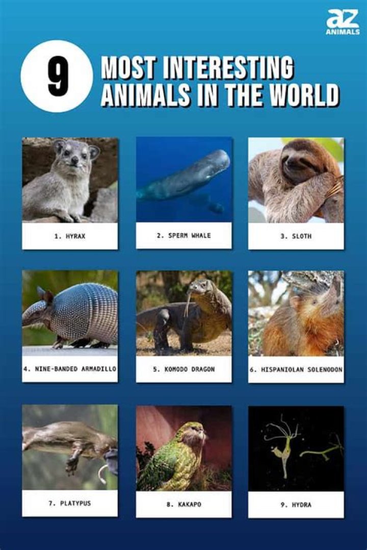 The Most Interesting Animal News Stories From 2018