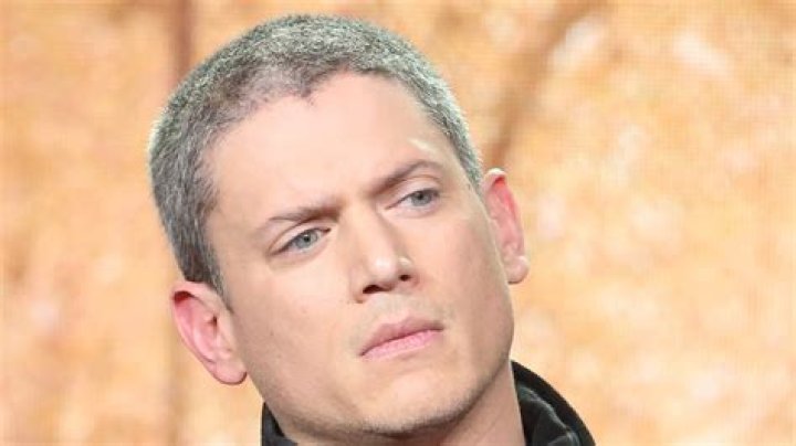 Wentworth Miller, reveals he has been diagnosed with autism – Celebsgraphy