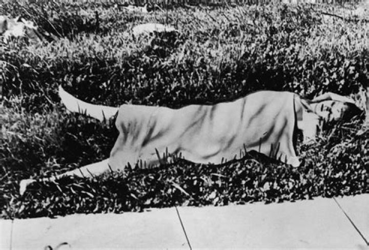 Who Was The Black Dahlia’s Killer? 7 Possible Suspects