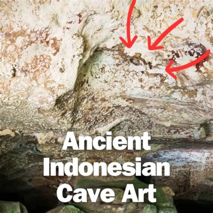 World's Oldest Animal Drawing Found In Indonesian Cave